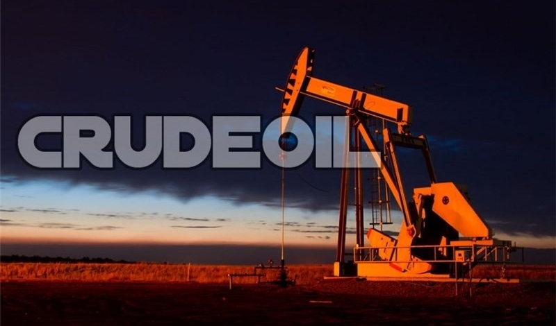 عراق یک شرکت نفتی را بعلت فساد تعلیق کرد