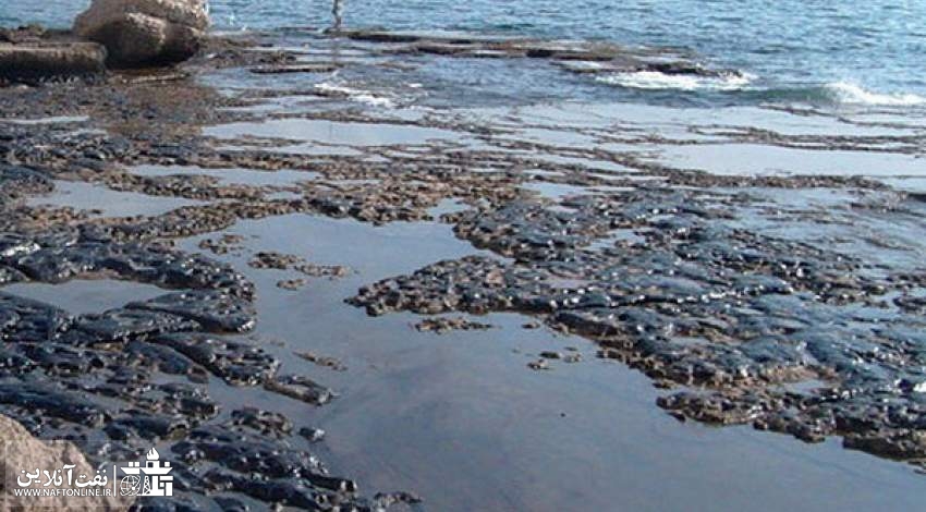 محیط زیست بوشهر از شرکت نفتی آلوده کننده دریا شکایت کرد | نفت آنلاین