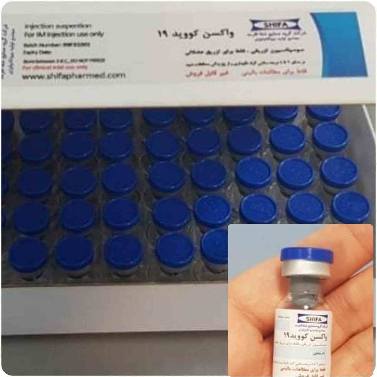 تصویری از واکسن ایرانی کرونا
