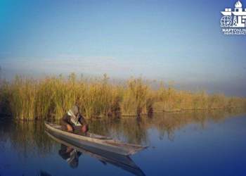 خشکیده شدن تالاب